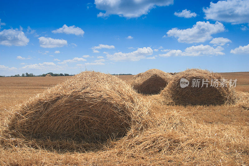 三个干草堆