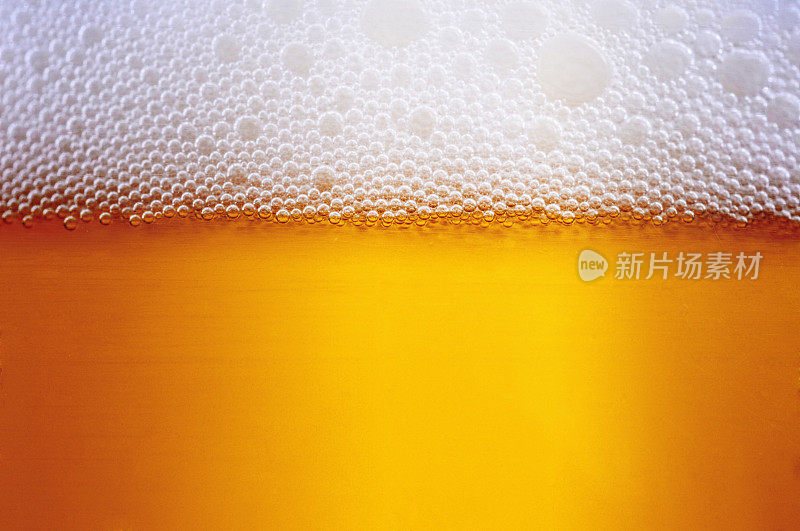 起泡层在新倒的啤酒上形成的泡沫层