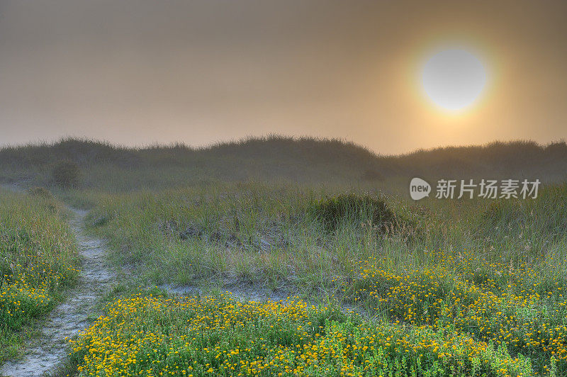 徒步穿越沙丘与雾蒙蒙的日落