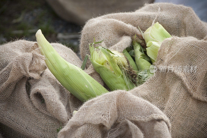 农贸市场上的新鲜玉米