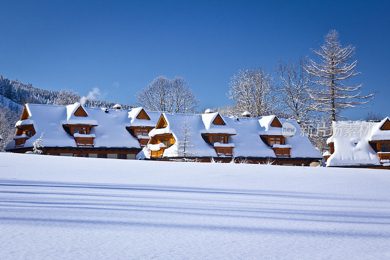雪中的田园诗般的山间小屋
