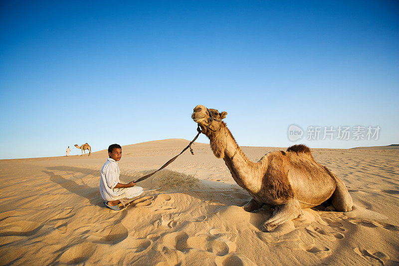 非洲西撒哈拉沙漠上，年轻的贝都因人和骆驼在一起