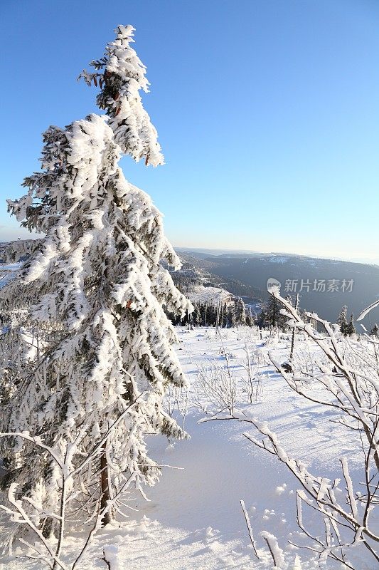 冬天的风景与雪在黑森林