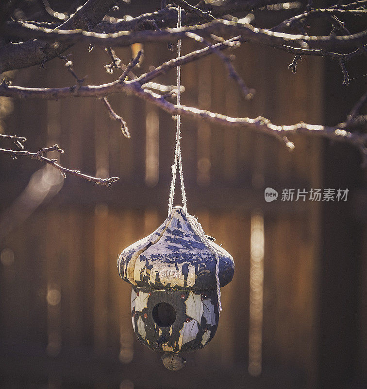 悬挂在冬季树枝上的小型旧鸟笼