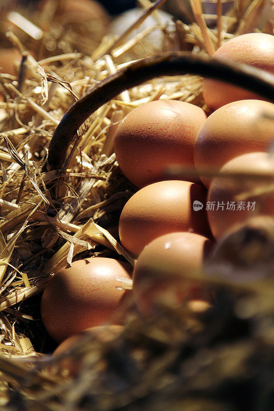 鸡蛋放在篮子里的稻草上