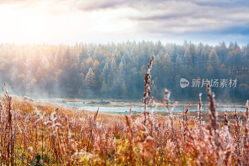 阿尔山的秋季景观