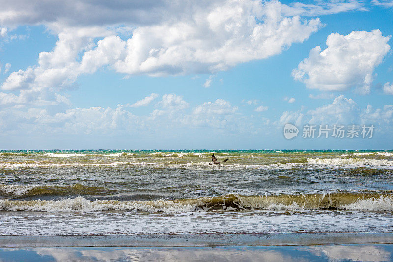 多云的天空下，鸟和鱼飞过海岸线