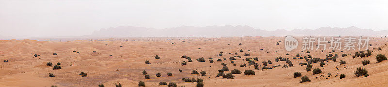 阿联酋的里瓦沙漠