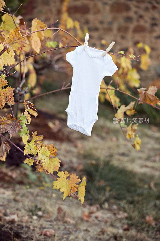 婴儿连体衣悬挂在秋天的葡萄园