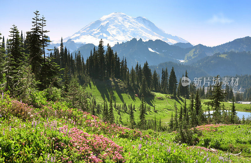 夏天的雷尼尔山