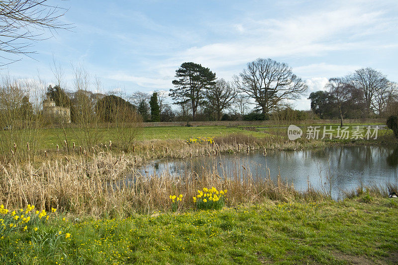 春天的阳光，弗兰普顿在塞文，格洛斯特郡，英国
