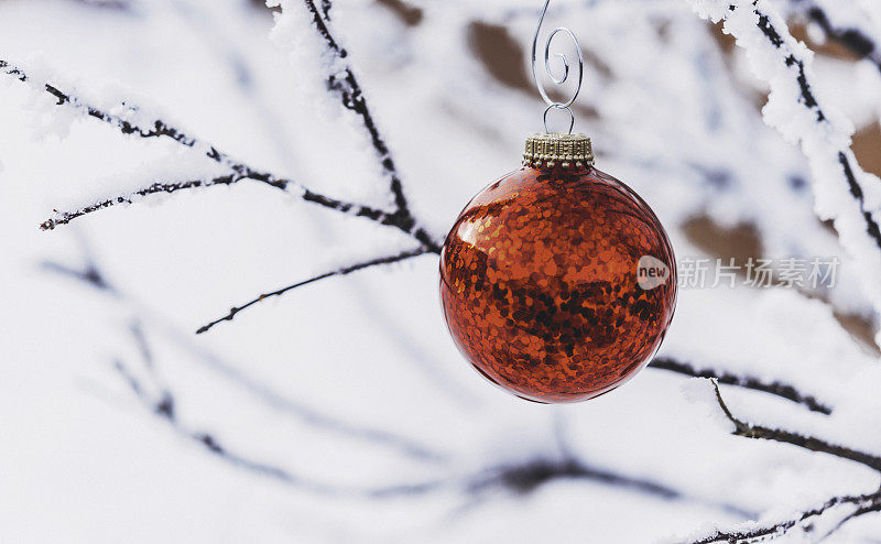 鲜红的圣诞装饰物挂在外面白雪覆盖的树上
