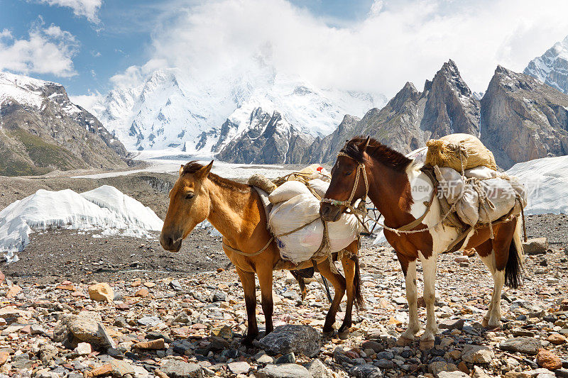 巴基斯坦喀喇昆仑的马匹驮运