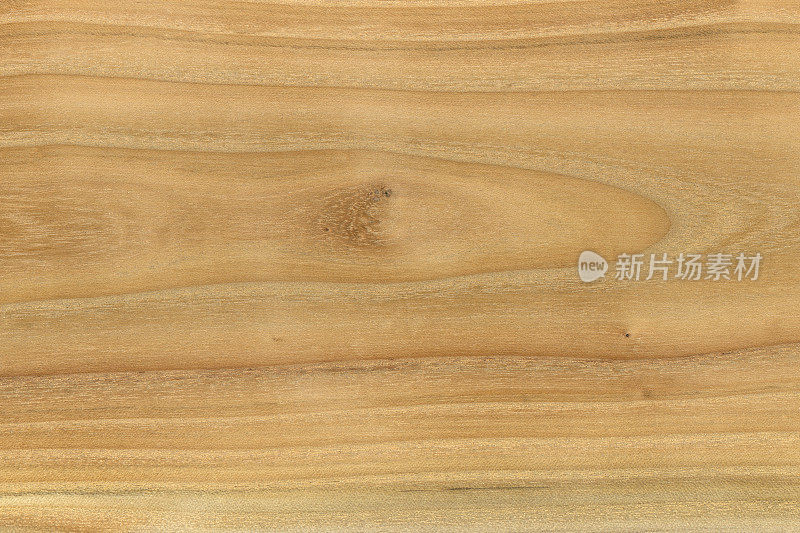 高分辨率天然木材纹理。