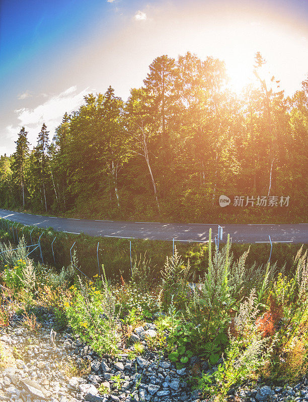 弯弯曲曲的小路上有一棵树，夕阳下草木丛生