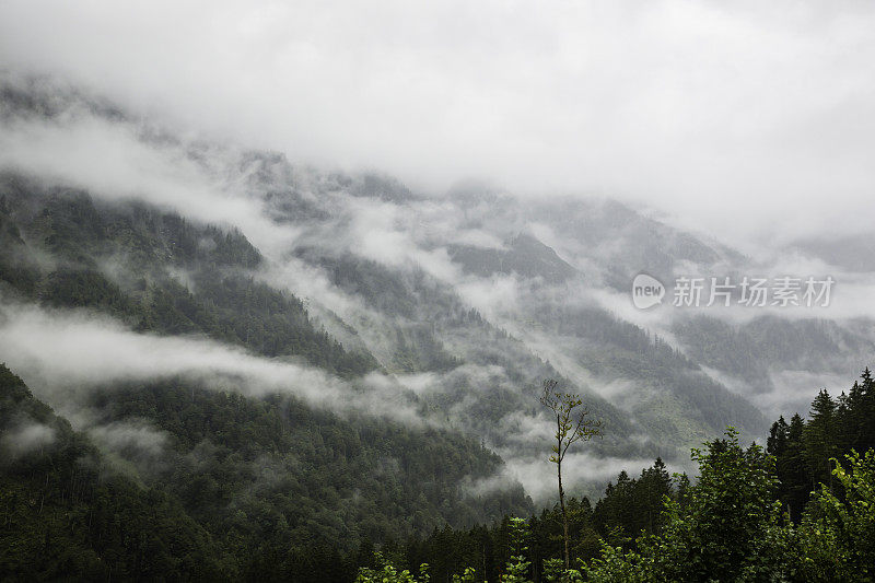 阿尔卑斯山在云中