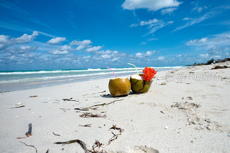沙滩上的椰子饮料