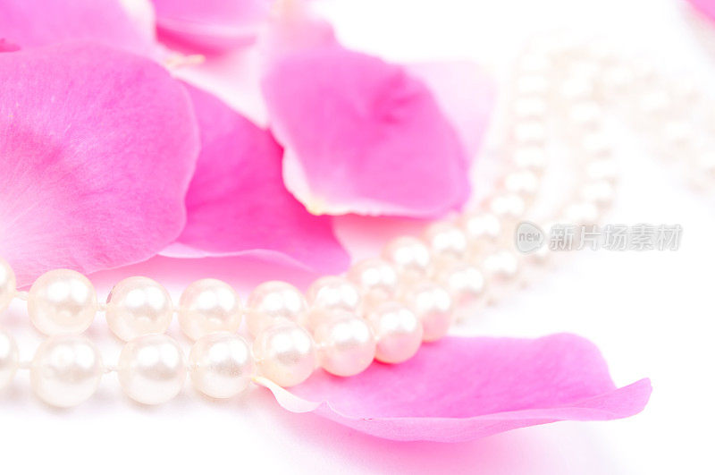 珍珠串在粉色玫瑰花瓣上