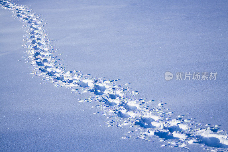 雪鞋在雪地上留下的痕迹