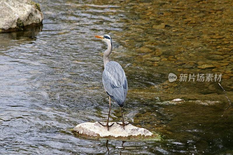 准备着陆