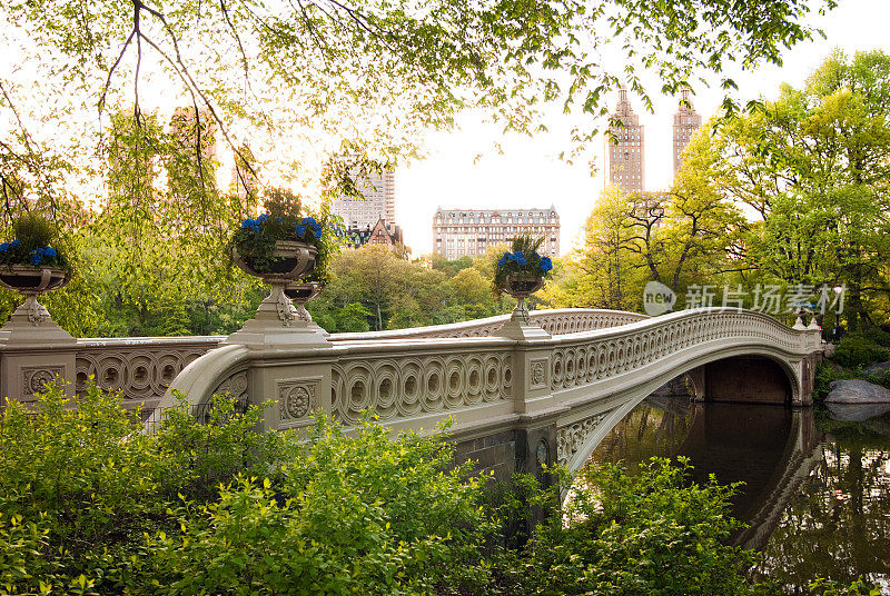 中央公园的弓桥，背景是建筑物