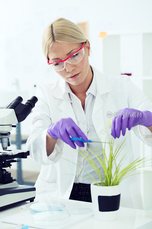 女科学家从植物中提取样本。
