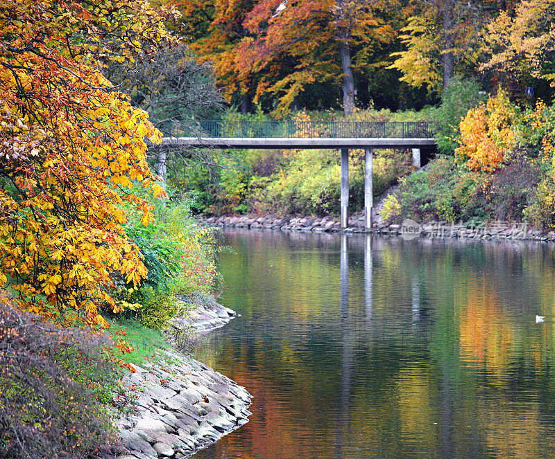 秋天树木和水与桥