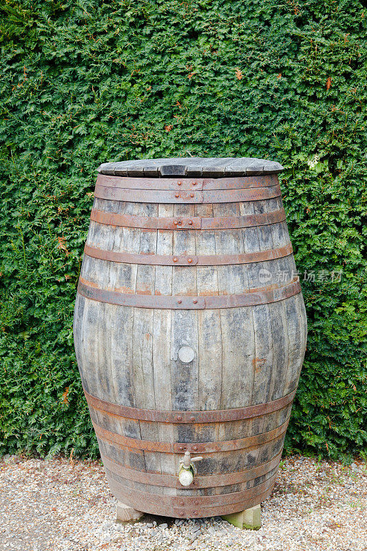 老式木桶，在花园里用作水桶
