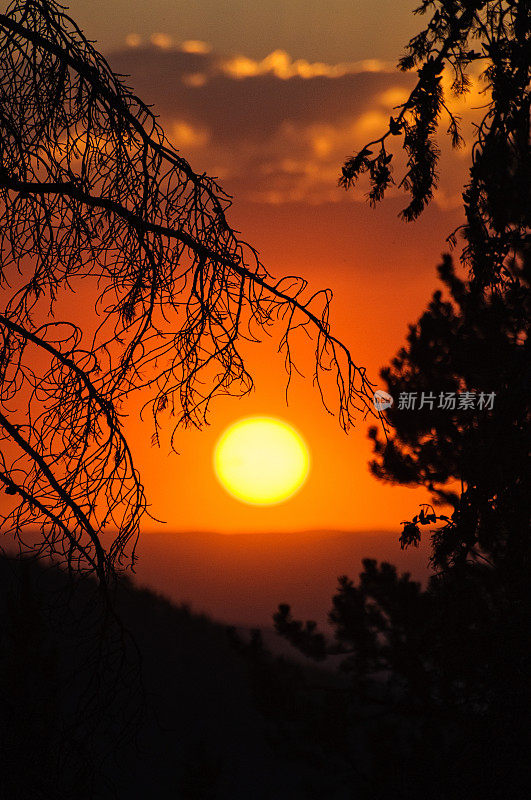 夕阳山美