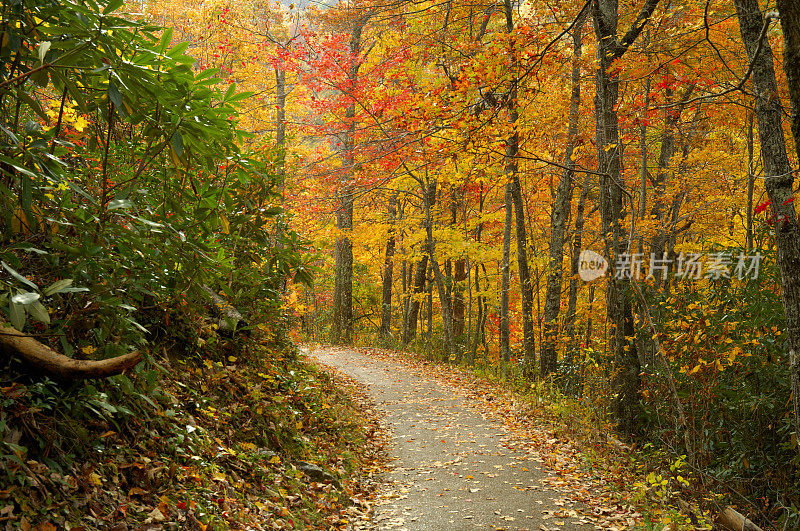 大烟山国家公园的月桂瀑布小径