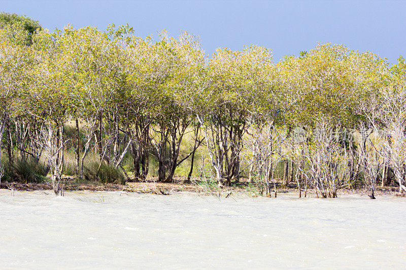 南非夸祖鲁-纳塔尔省的iSimangaliso湿地公园