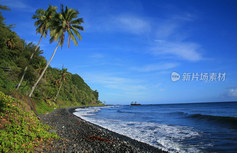 黑岩海滩-双棕榈在塔希提海岸