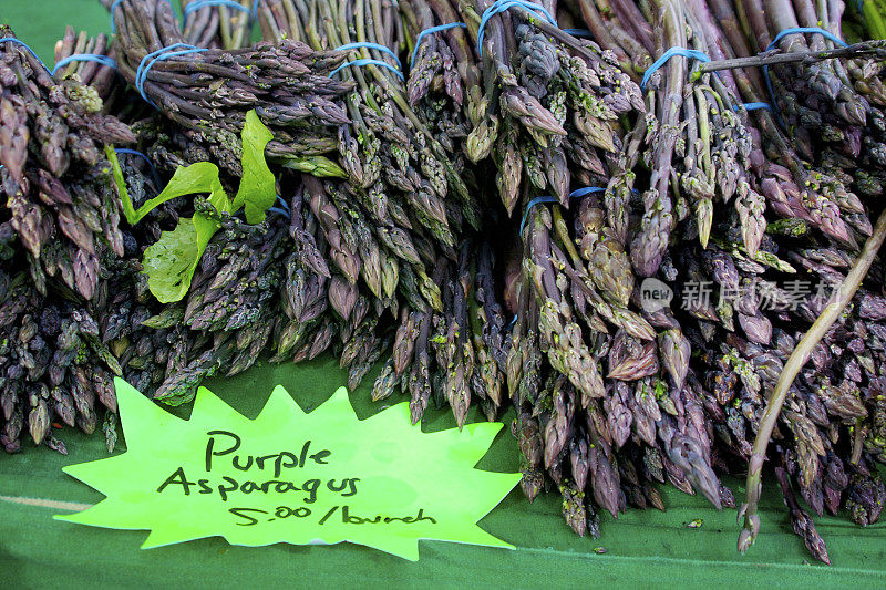 紫芦笋