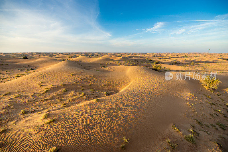 迪拜沙漠的沙丘和地平线上的热气球