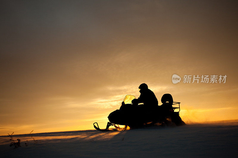 雪橇在行动