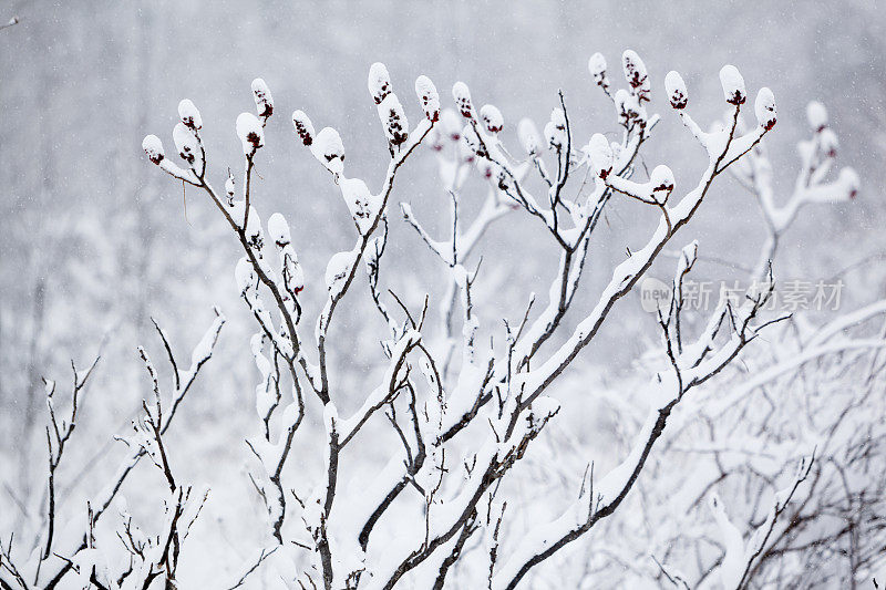 冬天的路在下雪