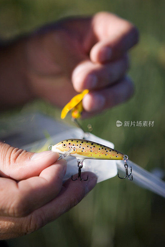 选择鱼饵