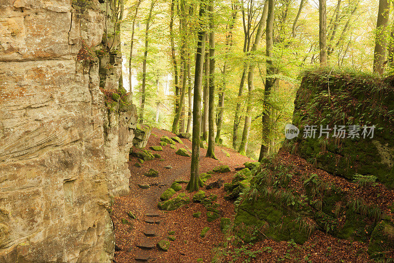 Teufelsschlucht的岩层