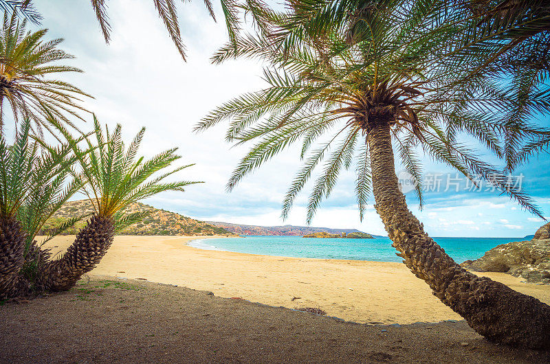 风景优美的棕榈树、云和热带海滩，希腊克里特岛Vai。