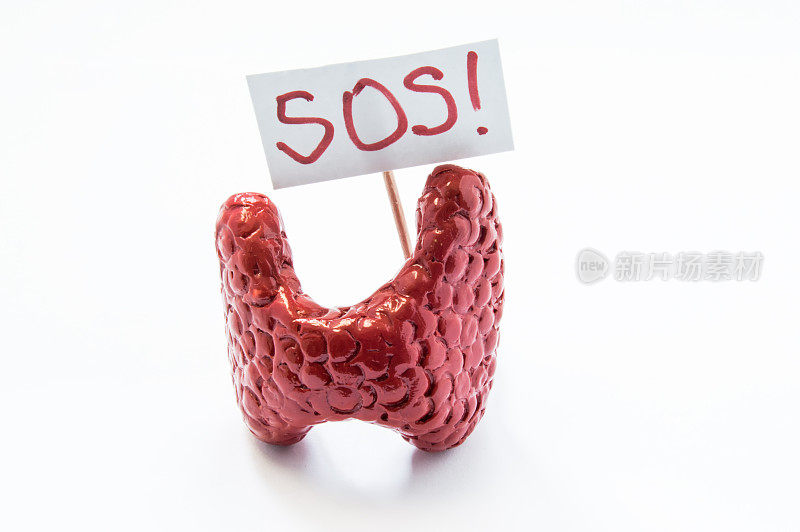 自然解剖的3D甲状腺模型与标书上的SOS求助患者或医生。适用于甲状腺的所有症状、综合症、疾病和病理