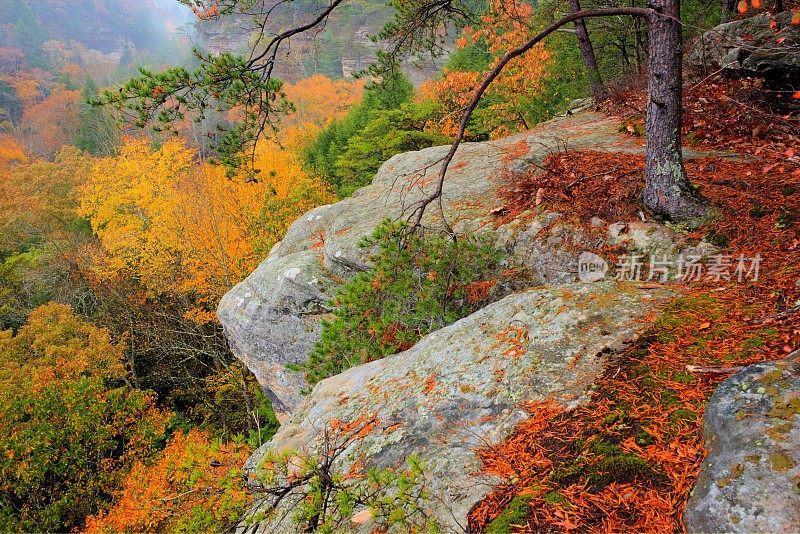 俄亥俄州霍克山的秋天的颜色