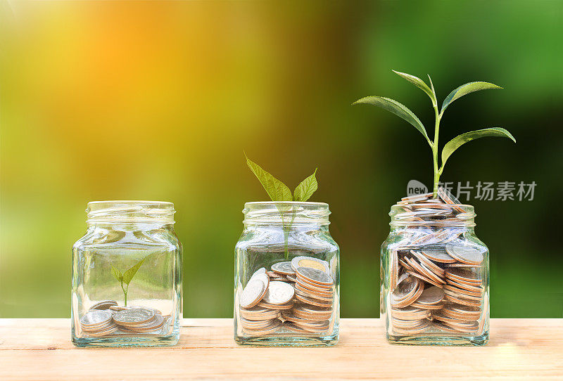 概念硬币在玻璃瓶和生长树在自然的背景下，商业投资增长的概念