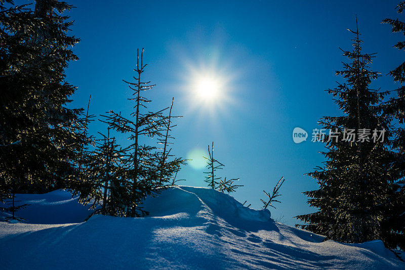 雪山里的夜月