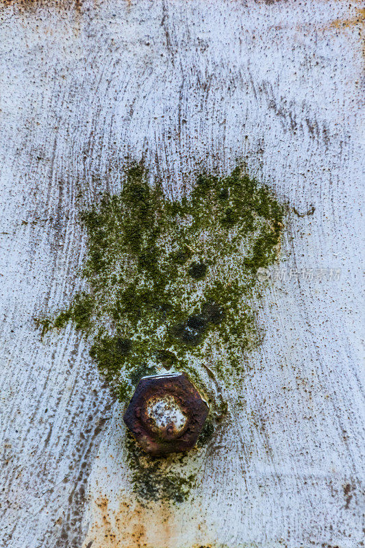 近生锈的风化螺母大胆的旧门