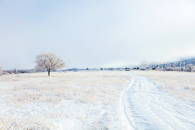 白色风景-科罗拉多州西部高海拔冬季降雪