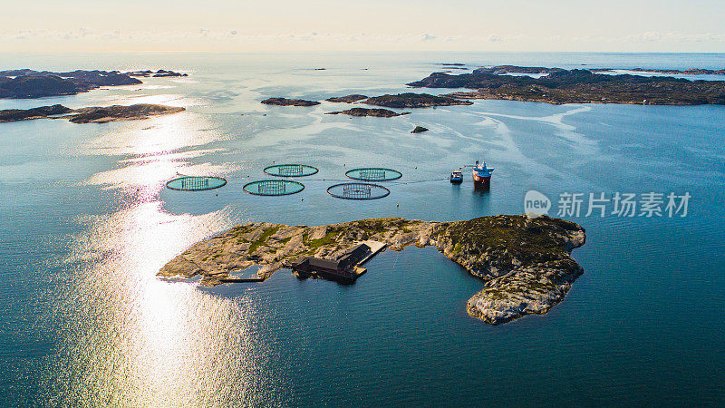 鲑鱼渔场。挪威卑尔根。