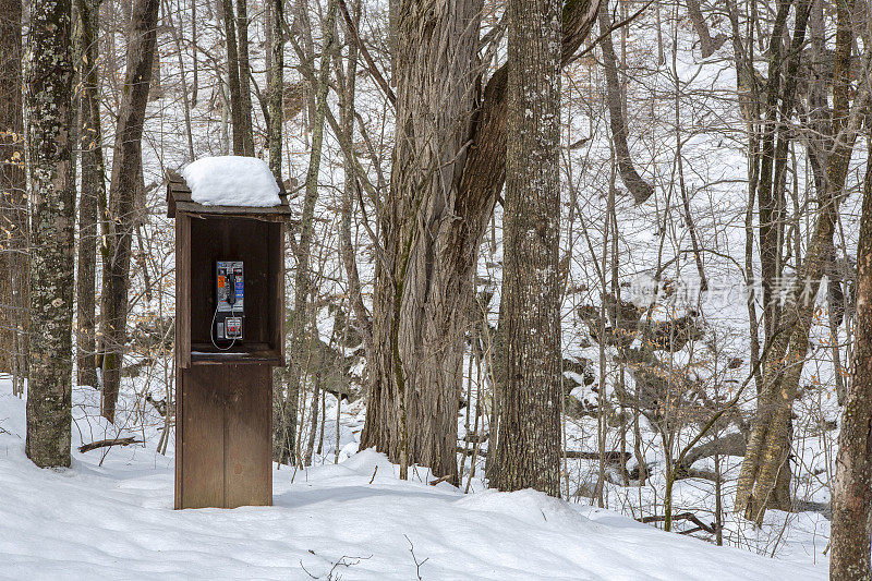 雪地里的公用电话