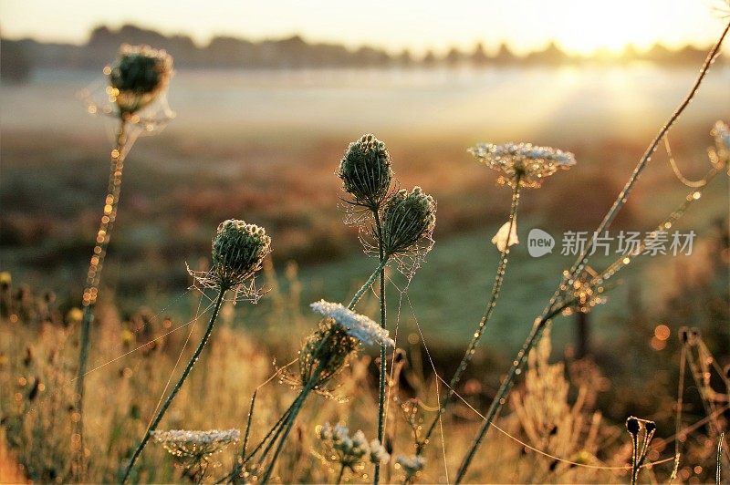 日出时朦胧的景色