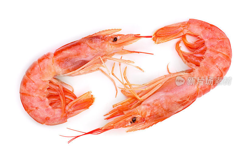 孤立在白色背景上的红煮虾或虾。俯视图