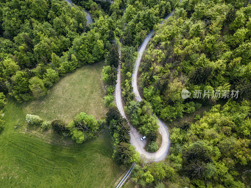 鸟瞰图的单一道路在森林